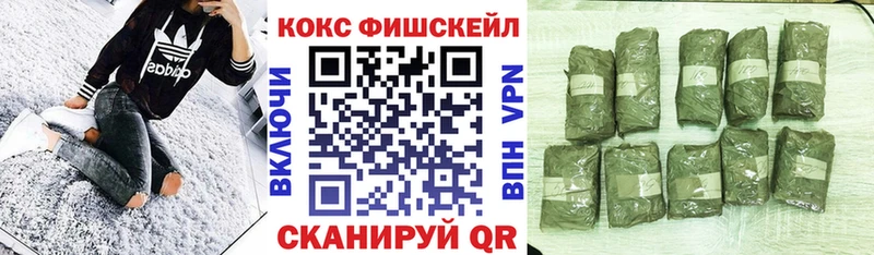 закладка  OMG зеркало  COCAIN FishScale  Козловка 
