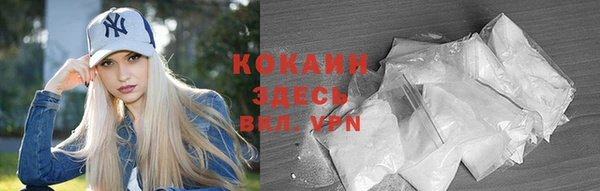 молекула духа Богданович