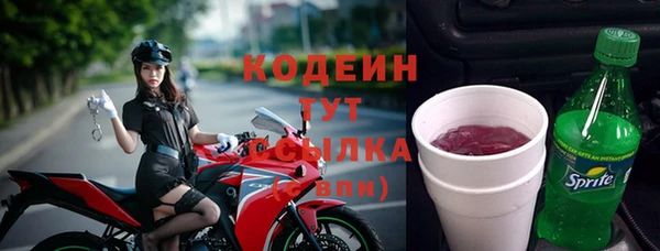 молекула духа Богданович