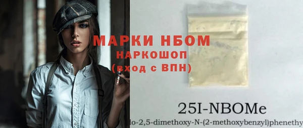 молекула духа Богданович