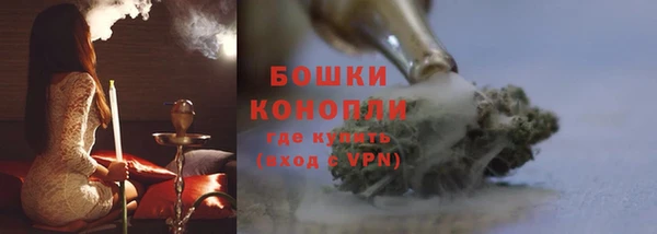 молекула духа Богданович