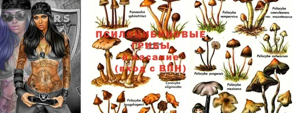 мяу мяу мука Богородск