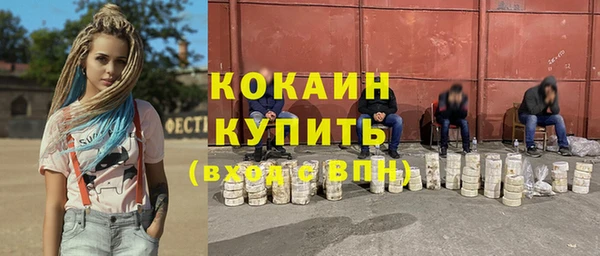 молекула духа Богданович
