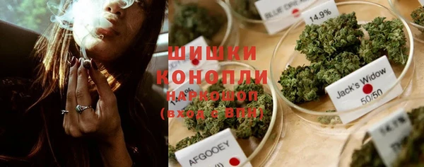 молекула духа Богданович
