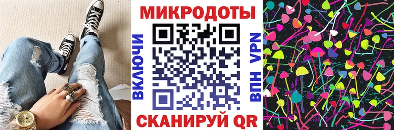 Псилоцибиновые грибы Psilocybine cubensis  Козловка 